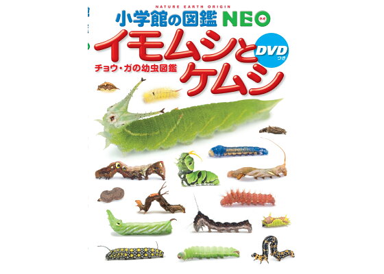楽天ブックス 小学館の図鑑neo イモムシとケムシ Dvdつき チョウ ガの幼虫図鑑 鈴木 知之 本 楽天ブックス 小学館の図鑑neo イモムシとケムシ Dvdつき チョウ ガの幼虫図鑑 鈴木 知之 本